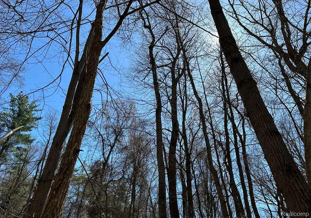 Photo 4 of Land for sale at 1101 Acres Vacant Land Knights Bridge Rd, Leonard, MI 48367 | MLS# 20240022787 | Listing updated on 2026-09-03
