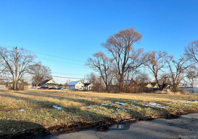 Land for sale at 2876 Tillman St, Detroit, MI 48216 | MLS# 20240024461