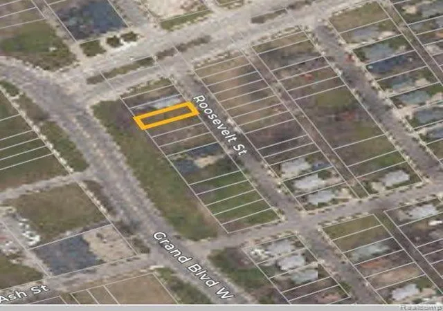 Photo 3 of Land for sale at 3369 Roosevelt St, Detroit, MI 48208 | MLS# 20240024462 | Listing updated on 2026-02-04