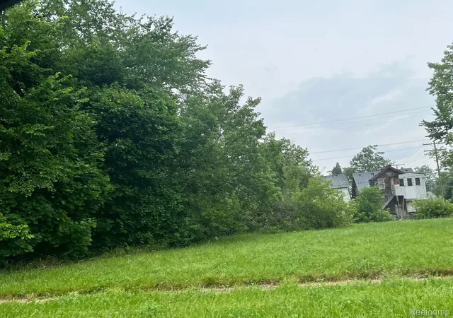 Photo 1 of Land for sale at 2430 Elmhurst St, Detroit, MI 48206 | MLS# 20240024487 | Listing updated on 2026-07-06
