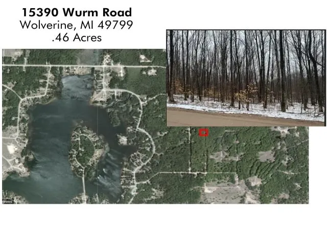 Homes for sale in Wolverine, MI | 15390 Wurm Road Dr, Wolverine, MI 49799 | MLS# 58050138916