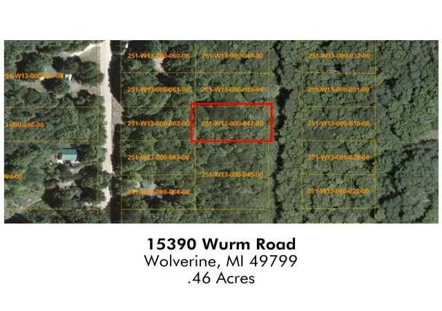 Homes for sale in Wolverine, MI | 15390 Wurm Road Dr, Wolverine, MI 49799 | MLS# 58050138916