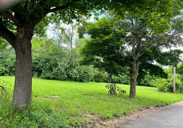 Photo 2 of Land for sale at 2417 W Edsel Ford Fwy, Detroit, MI 48208 | MLS# 20240024639 | Listing updated on 2026-07-06