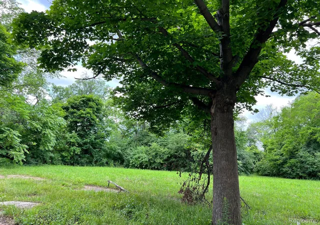 Photo 3 of Land for sale at 2417 W Edsel Ford Fwy, Detroit, MI 48208 | MLS# 20240024639 | Listing updated on 2026-07-06
