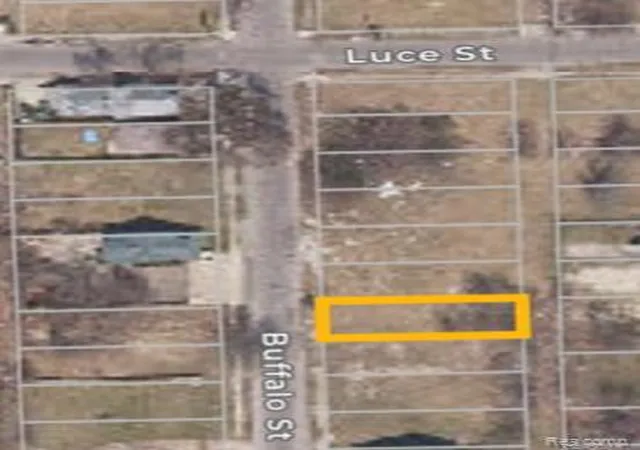 4th image of 13242 Buffalo St, Hamtramck, MI 48212 | MLS# 20240024961