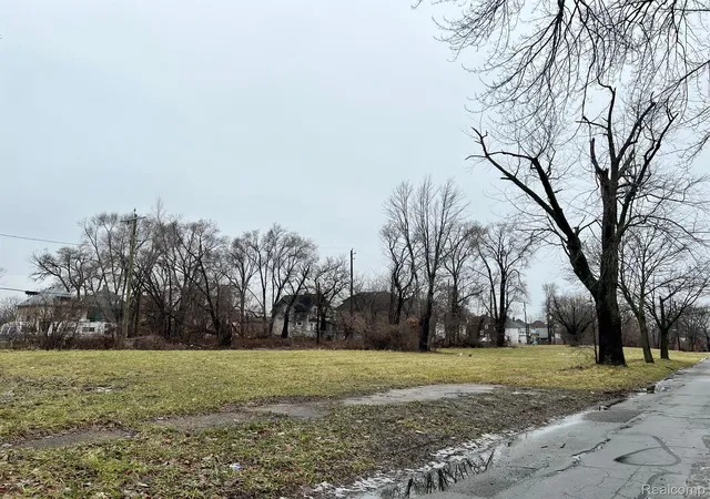 Photo 1 of Land for sale at 3021 Beals St, Detroit, MI 48214 | MLS# 20240024976 | Listing updated on 2026-08-20