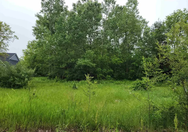Photo 1 of Land for sale at 1375 Elm St, Clio, MI 48420 | MLS# 5050139522 | Listing updated on 2026-08-28