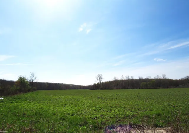 Photo 1 of Land for sale at 0 Gratiot Rd, New Haven, MI 48048 | MLS# 58050140154 | Listing updated on 2026-09-02