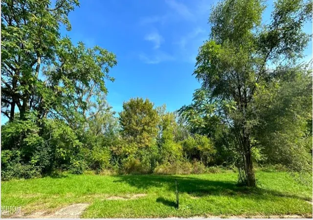 Photo 1 of Land for sale at 421 E Lorado Ave, Flint, MI 48505 | MLS# 58050140908 | Listing updated on 2026-02-20