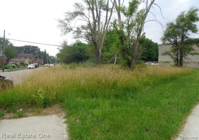Photo 3 of Land for sale at 18553 James Couzens Fwy, Detroit, MI 48235 | MLS# 20240044293 | Listing updated on 2026-07-06
