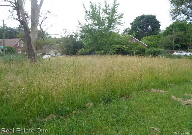 Photo 3 of Land for sale at 18553 James Couzens Fwy, Detroit, MI 48235 | MLS# 20240044293 | Listing updated on 2026-07-06