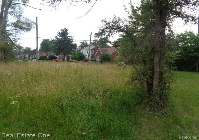 Photo 4 of Land for sale at 18553 James Couzens Fwy, Detroit, MI 48235 | MLS# 20240044293 | Listing updated on 2026-07-06