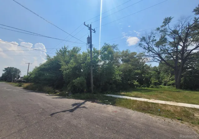 Photo 4 of Land for sale at 9585 Iris St, Detroit, MI 48227 | MLS# 20240045088 | Listing updated on 2026-08-15