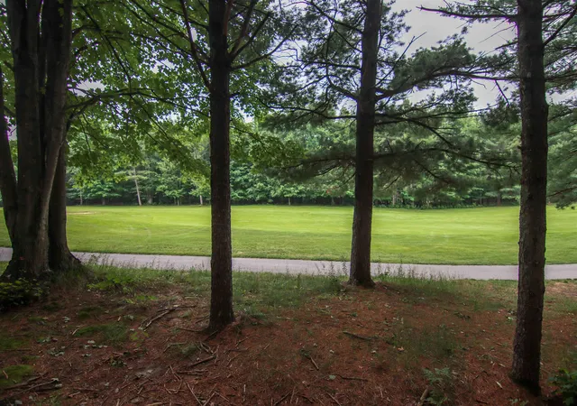 Photo 1 of Land for sale at 0000 Unit 39 Trailside Dr, Weldon Township Benzie, MI 49683 | MLS# 78080047867 | Listing updated on 2026-07-01