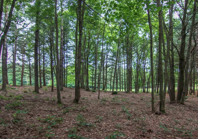 Photo 3 of Land for sale at 0000 Unit 39 Trailside Dr, Weldon Township Benzie, MI 49683 | MLS# 78080047867 | Listing updated on 2026-07-01