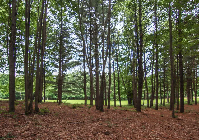 Photo 3 of Land for sale at 0000-unit 39 Trailside Dr, Weldon Township Benzie, MI 49683 | MLS# 78080047867 | Listing updated on 2026-07-01