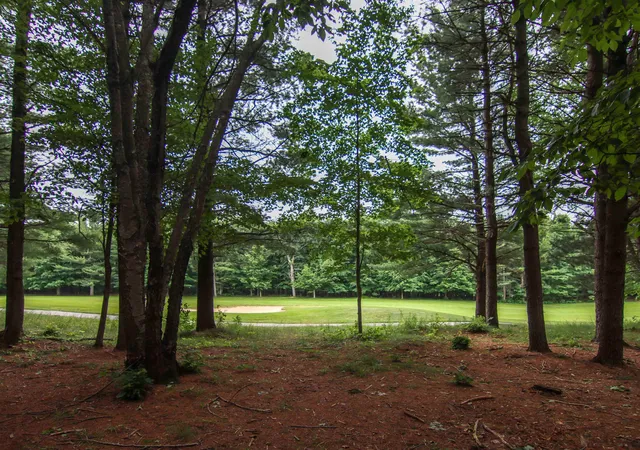 Photo 1 of Land for sale at 0000 Unit 40 Trailside Dr, Thompsonville, MI 49683 | MLS# 78080047868 | Listing updated on 2026-07-04