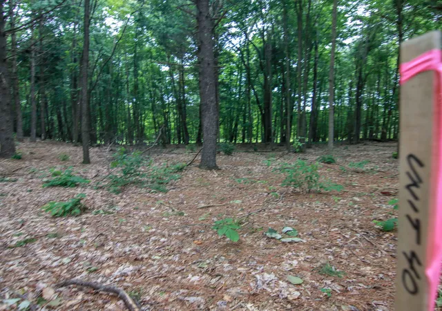 Photo 3 of Land for sale at 0000-Unit 40 Trailside Dr, Thompsonville, MI 49683 | MLS# 78080047868 | Listing updated on 2026-07-04