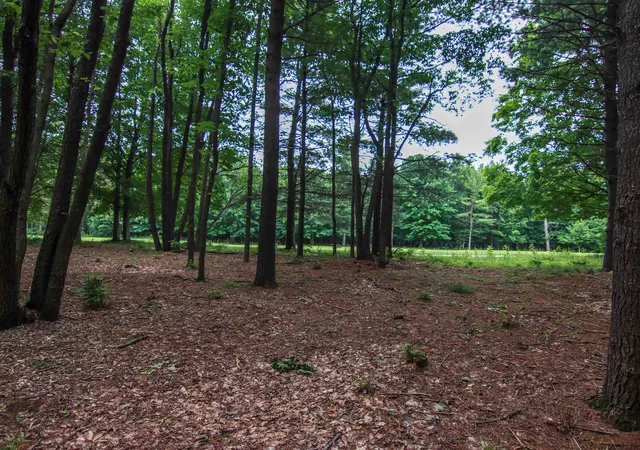 Photo 1 of Land for sale at 0000 Unit 41 Trailside Dr, Thompsonville, MI 49683 | MLS# 78080047869 | Listing updated on 2026-07-04