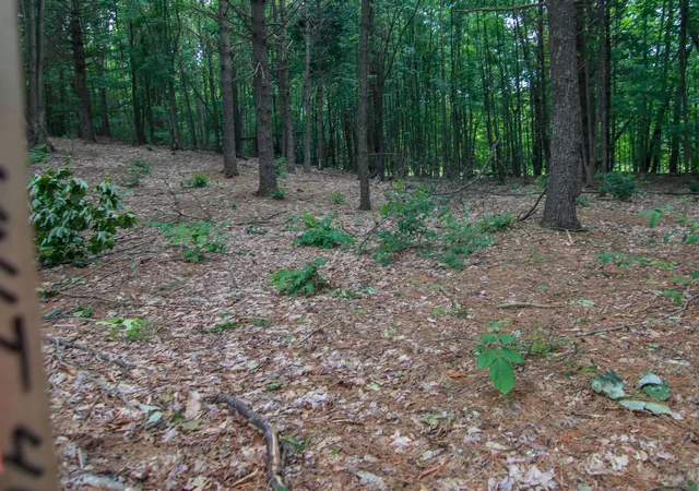 Photo 3 of Land for sale at 0000-Unit 41 Trailside Dr, Thompsonville, MI 49683 | MLS# 78080047869 | Listing updated on 2026-07-04