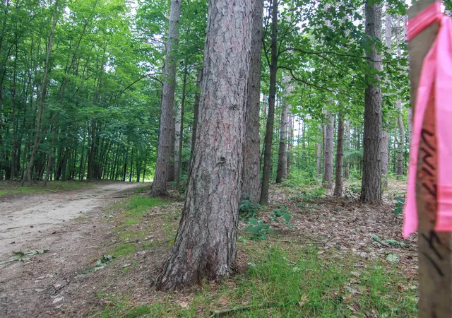 Photo 4 of Land for sale at 0000-Unit 41 Trailside Dr, Thompsonville, MI 49683 | MLS# 78080047869 | Listing updated on 2026-07-04