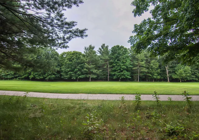 Photo 2 of Land for sale at 0000 Unit 42 Trailside Dr, Thompsonville, MI 49683 | MLS# 78080047870 | Listing updated on 2026-07-04