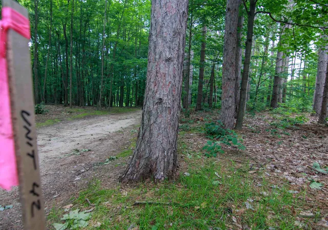 Photo 3 of Land for sale at 0000-Unit 42 Trailside Dr, Thompsonville, MI 49683 | MLS# 78080047870 | Listing updated on 2026-07-04