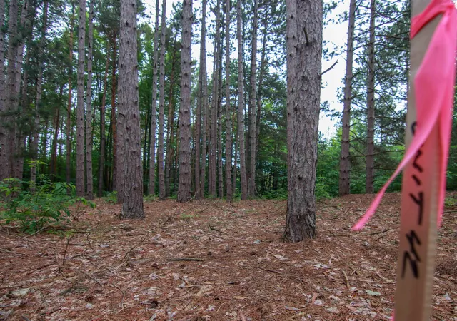 Photo 4 of Land for sale at 0000-Unit 42 Trailside Dr, Thompsonville, MI 49683 | MLS# 78080047870 | Listing updated on 2026-07-04