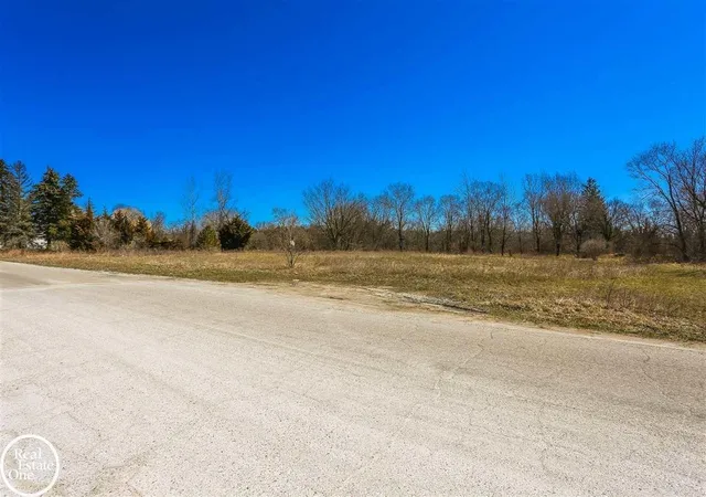 Photo 2 of Land for sale at Vl Meadowlawn Ln, Fort Gratiot Charter Township St Clair, MI 48059 | MLS# 58050149379 | Listing updated on 2026-07-30