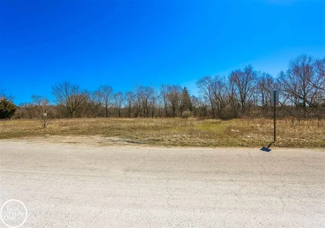 Photo 3 of Land for sale at Vl Meadowlawn Ln, Fort Gratiot Charter Township St Clair, MI 48059 | MLS# 58050149379 | Listing updated on 2026-07-30