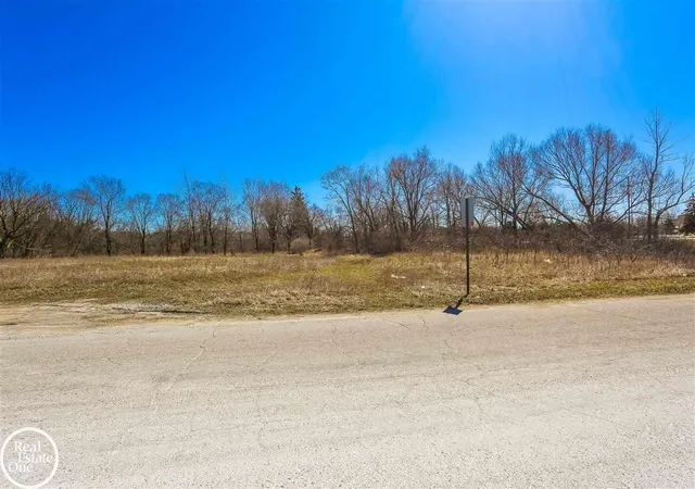 Photo 3 of Land for sale at Vl Meadowlawn Ln, Fort Gratiot Charter Township St Clair, MI 48059 | MLS# 58050149379 | Listing updated on 2026-07-30