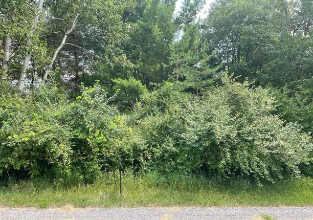 1st image of 1090 Carmen Dr, Weidman, MI 48893 | MLS# 79080048618