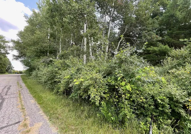 Photo 3 of Land for sale at 1090 Carmen Dr, Weidman, MI 48893 | MLS# 79080048618 | Listing updated on 2026-07-17