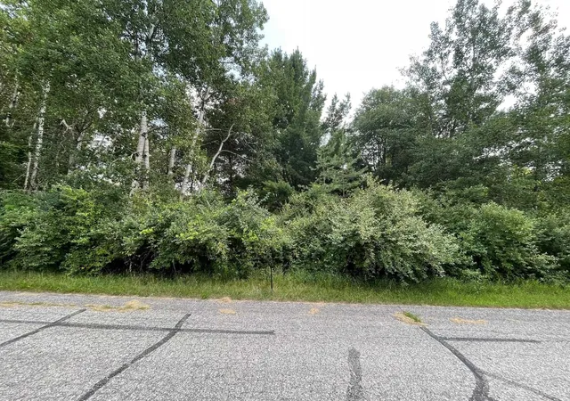 Photo 3 of Land for sale at 1090 Carmen Dr, Weidman, MI 48893 | MLS# 79080048618 | Listing updated on 2026-07-17