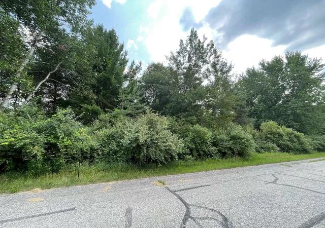 Photo 4 of Land for sale at 1090 Carmen Dr, Weidman, MI 48893 | MLS# 79080048618 | Listing updated on 2026-07-17
