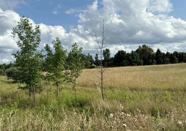 Photo 2 of Land for sale at Tbd Shepherd Rd, Mt Pleasant City Isabella, MI 48858 | MLS# 79080048762 | Listing updated on 2026-07-25