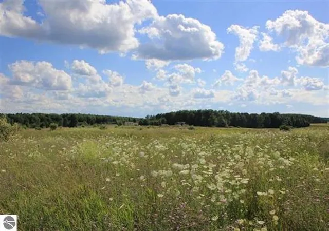 Photo 3 of Land for sale at 9110 Center Pl Dr, Kingsley, MI 49649 | MLS# 78080048790 | Listing updated on 2026-07-06