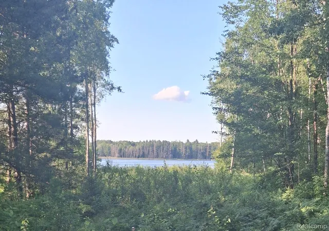 1st image of Lot 101 Breezewood Dr, Mancelona, MI 49659 | MLS# 20240056022