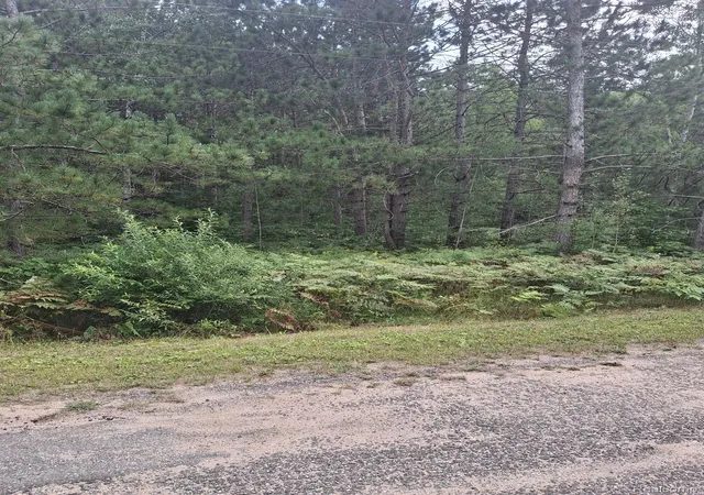 7th image of Lot 101 Breezewood Dr, Mancelona, MI 49659 | MLS# 20240056022