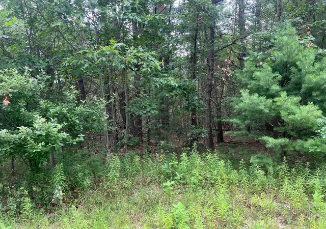 Land at Whitehall Rd, Whitehall, MI 49461 | MLS# 71024039884 | | Sold on 2024-09-18