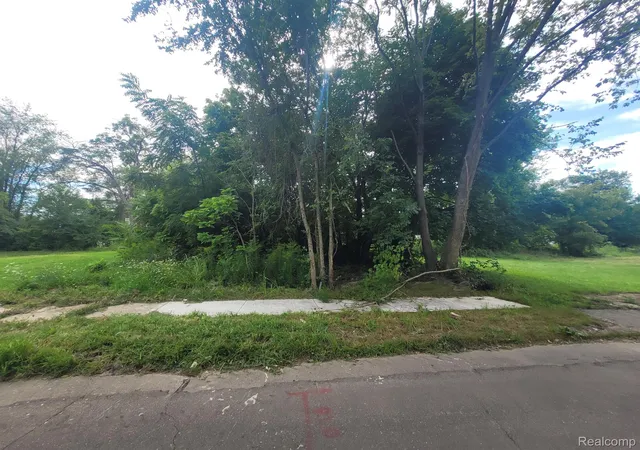 Photo 3 of Land for sale at 3443 Beals St, Detroit, MI 48214 | MLS# 20240058320 | Listing updated on 2026-08-04