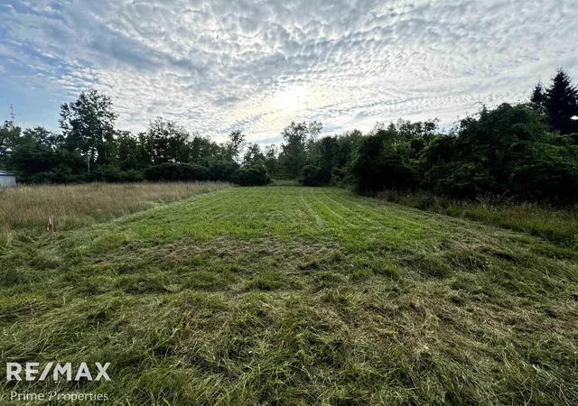 Homes for sale in Lexington, MI | 000 Sylvia Dr, Lexington, MI 48450 | MLS# 5050151631