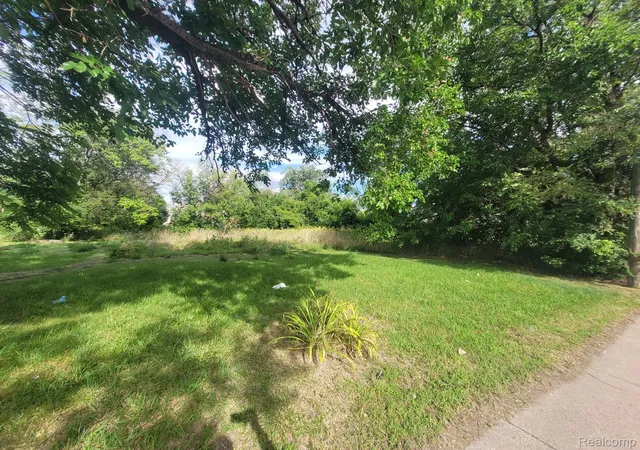 Photo 3 of Land for sale at 3520 Mount Elliott St, Detroit, MI 48207 | MLS# 20240059649 | Listing updated on 2026-08-04