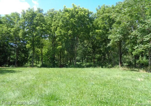 Photo 1 of Land for sale at 18985 Trinity St, Detroit, MI 48219 | MLS# 20240060760 | Listing updated on 2026-07-06
