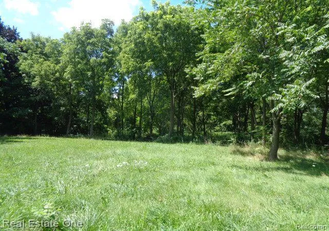Photo 3 of Land for sale at 18985 Trinity St, Detroit, MI 48219 | MLS# 20240060760 | Listing updated on 2026-07-06