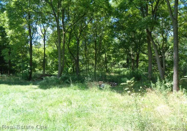 Photo 4 of Land for sale at 18985 Trinity St, Detroit, MI 48219 | MLS# 20240060760 | Listing updated on 2026-07-06