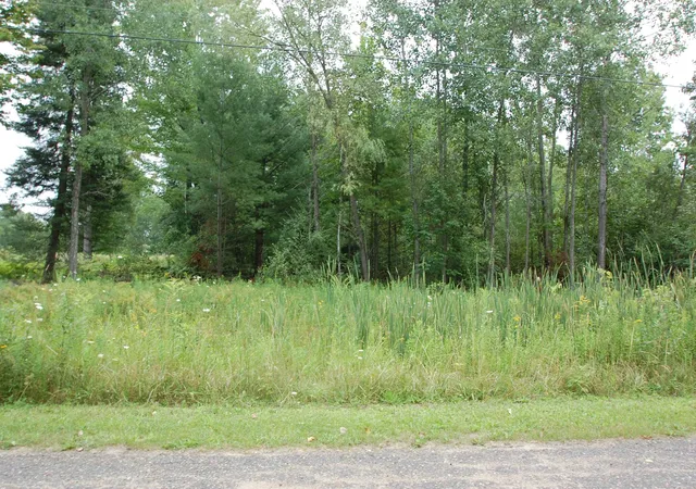 Land for sale at 0 Crawford St, West Branch, MI 48661 | MLS# 77080050052