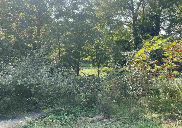 2nd image of Vl Ruby St, Grand Blanc Charter Township Genesee, MI 48442 | MLS# 5050154752