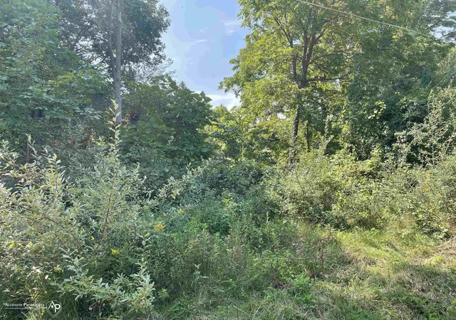 Photo 3 of Land for sale at Vl Ruby St, Grand Blanc Charter Township Genesee, MI 48442 | MLS# 5050154752 | Listing updated on 2026-03-31