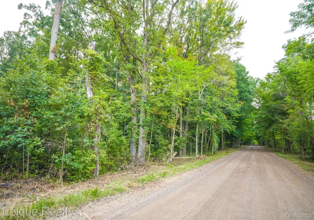 2nd image of 0tbd Hagerman, Leonard, MI 48367 | MLS# 20240069633
